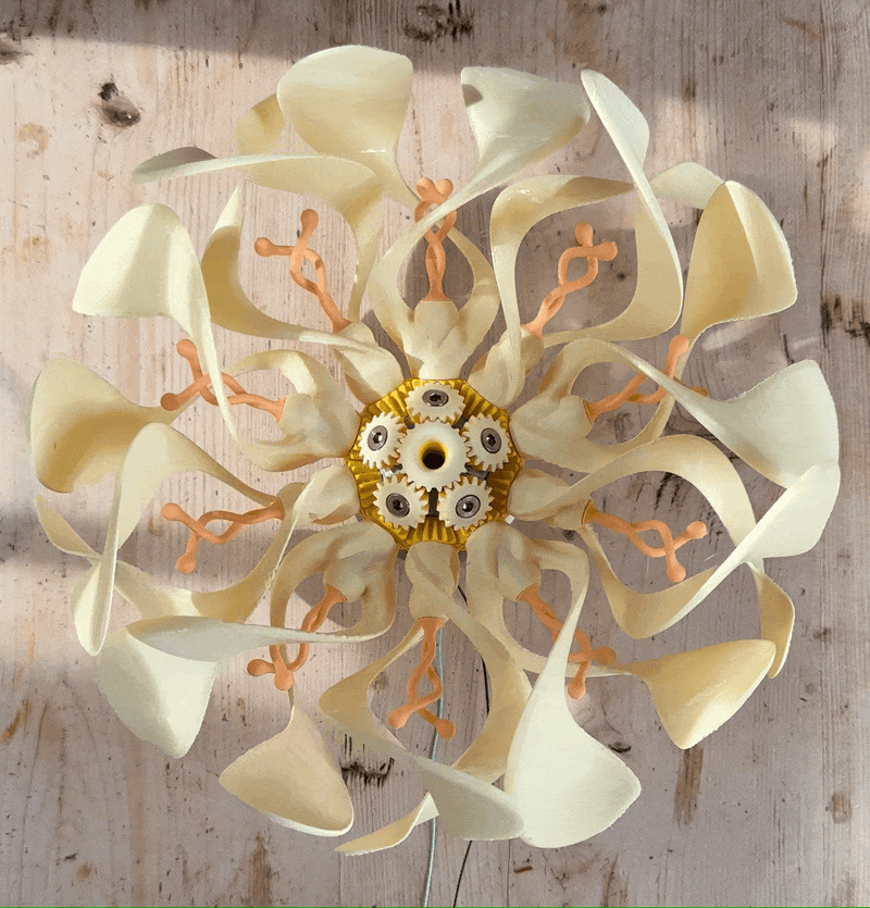 William Darrell, les fleurs mécaniques qui hypnotisent comme une seiche