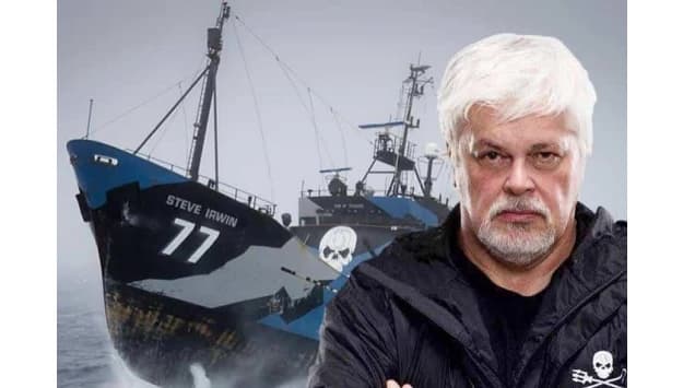Paul Watson, le capitaine qui dit que l'homme n'est pas au centre